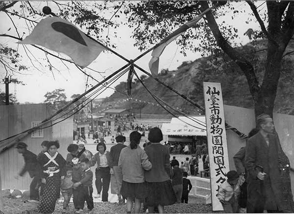 三居沢動物園（昭30.10.25）