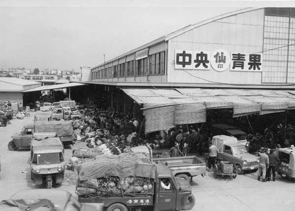 中央卸売市場