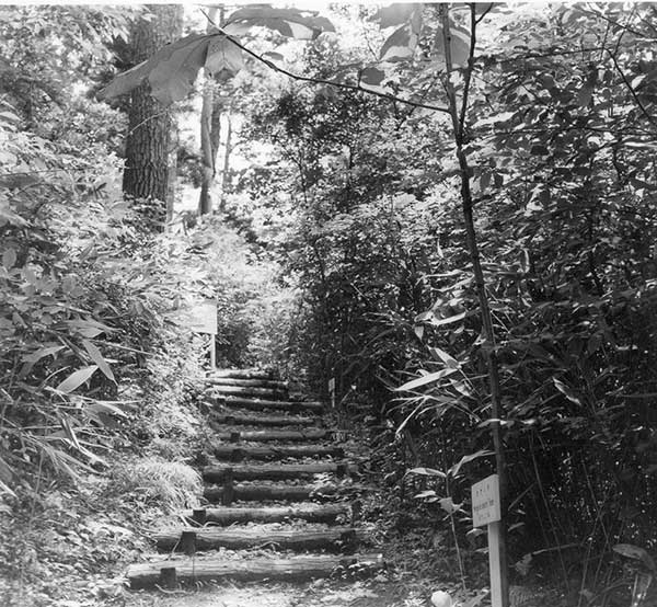 青葉山植物園（昭34）