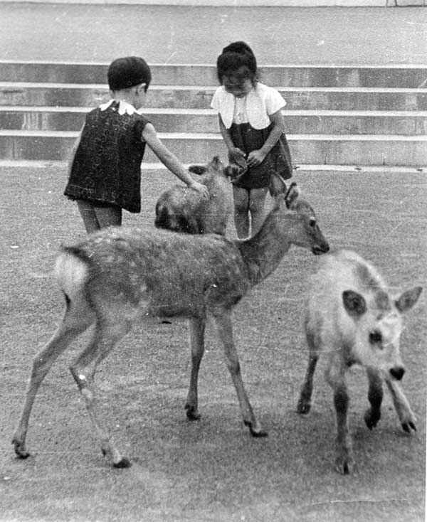 八木山動物公園の動物たち