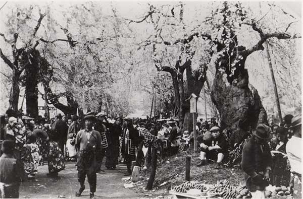 榴ヶ岡公園